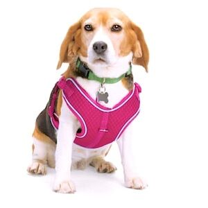 🆕 EVERYAY Pink Reflective Trim Dog Harness EMBRACE THE PACE SIZE XS / S